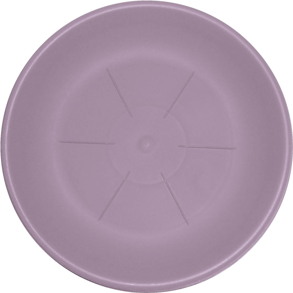 bama sottovaso hedera lavanda d 22 cm ean 8007633271038
