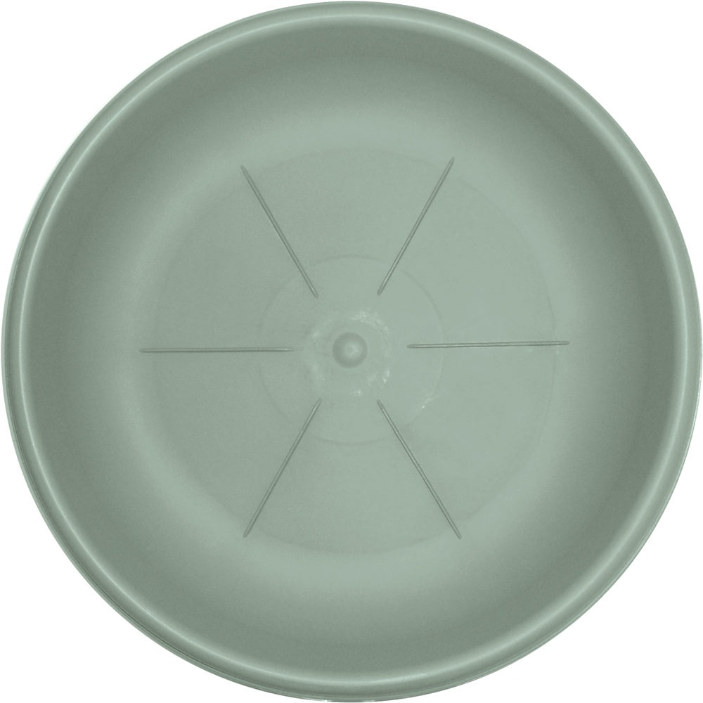 bama sottovaso hedera salvia d 22 cm ean 8007633261039