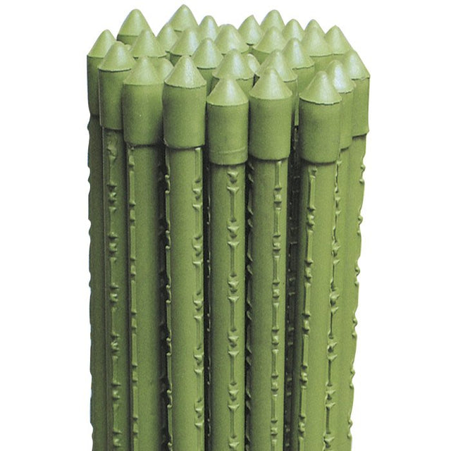 biacchi ettore cannetta 150 met plastificata ean 8004944998203