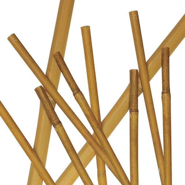 biacchi ettore cannette bamboo 3pz 150cm 5003 biacchi ean 8004944050031
