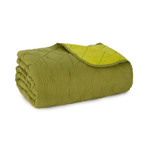 immagine-1-biancaluna-trapuntino-indicolor-2-piazze-verde-ean-8051123014865