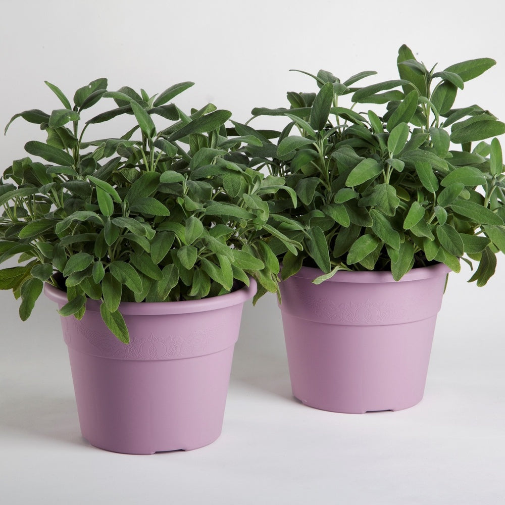 bama vaso hedera lavanda d 25 cm ean 8007633301278