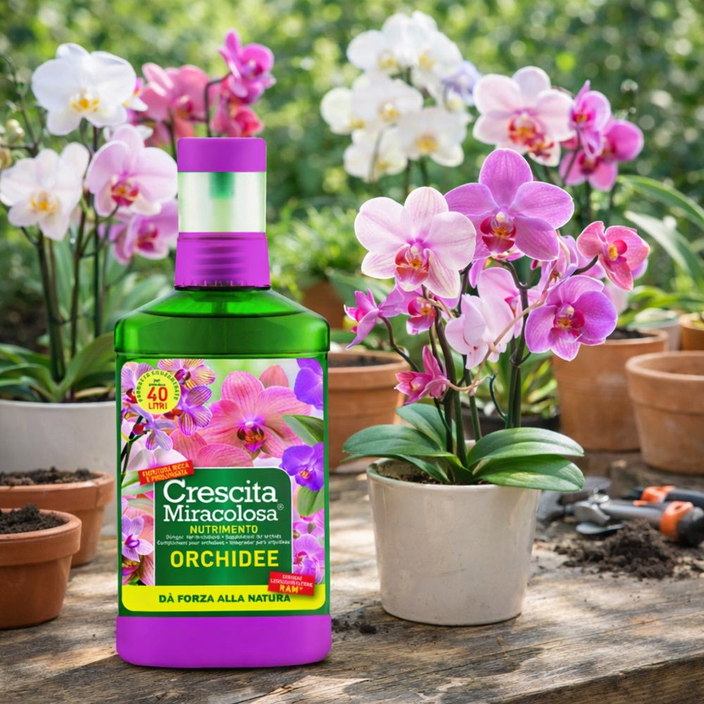 crescita miracolosa concime crescita miracolosa orchidee 200 ml ean 8006933058332