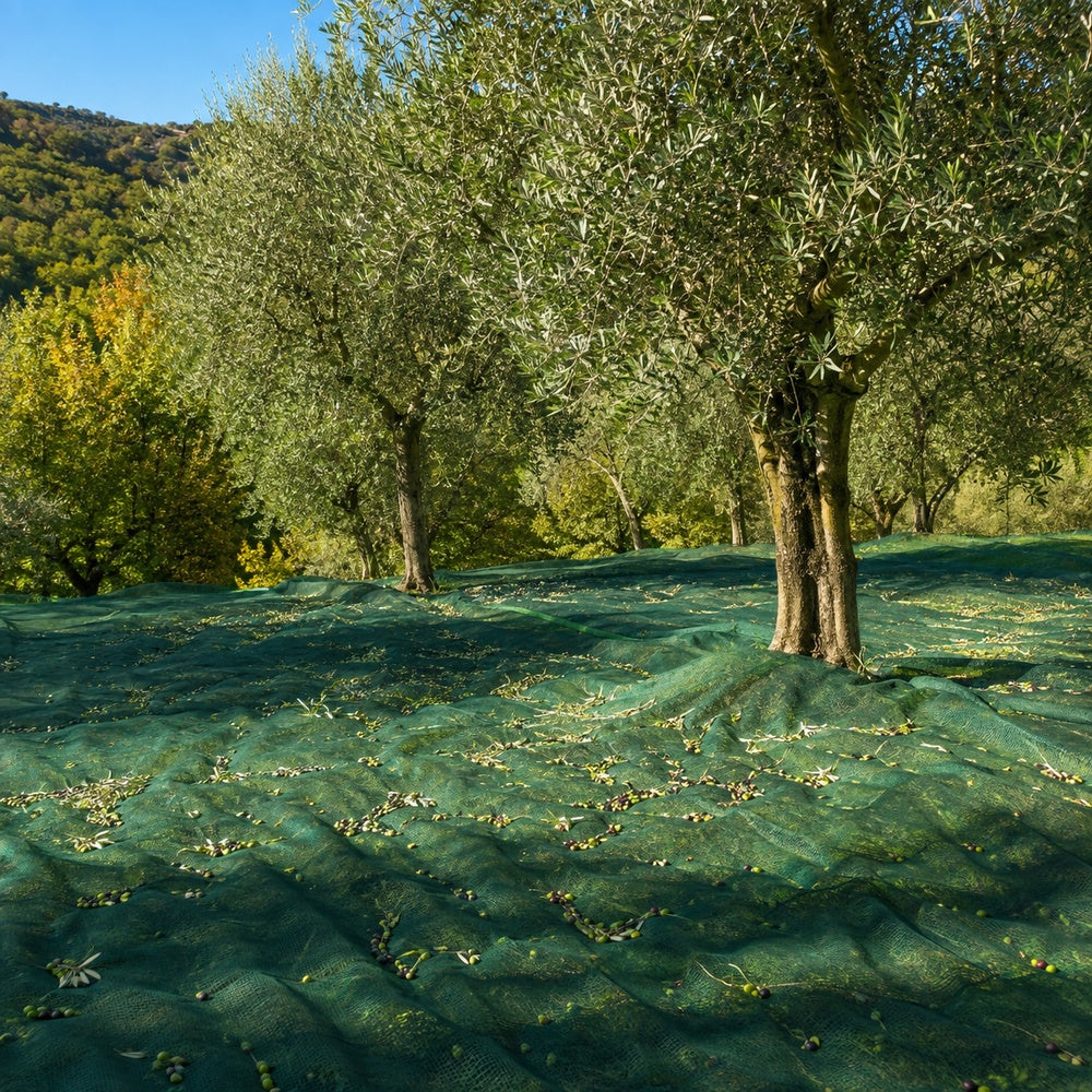 olivari rete light raccolta olive 33 gr 6x6 mt antispina ean 8015231532901
