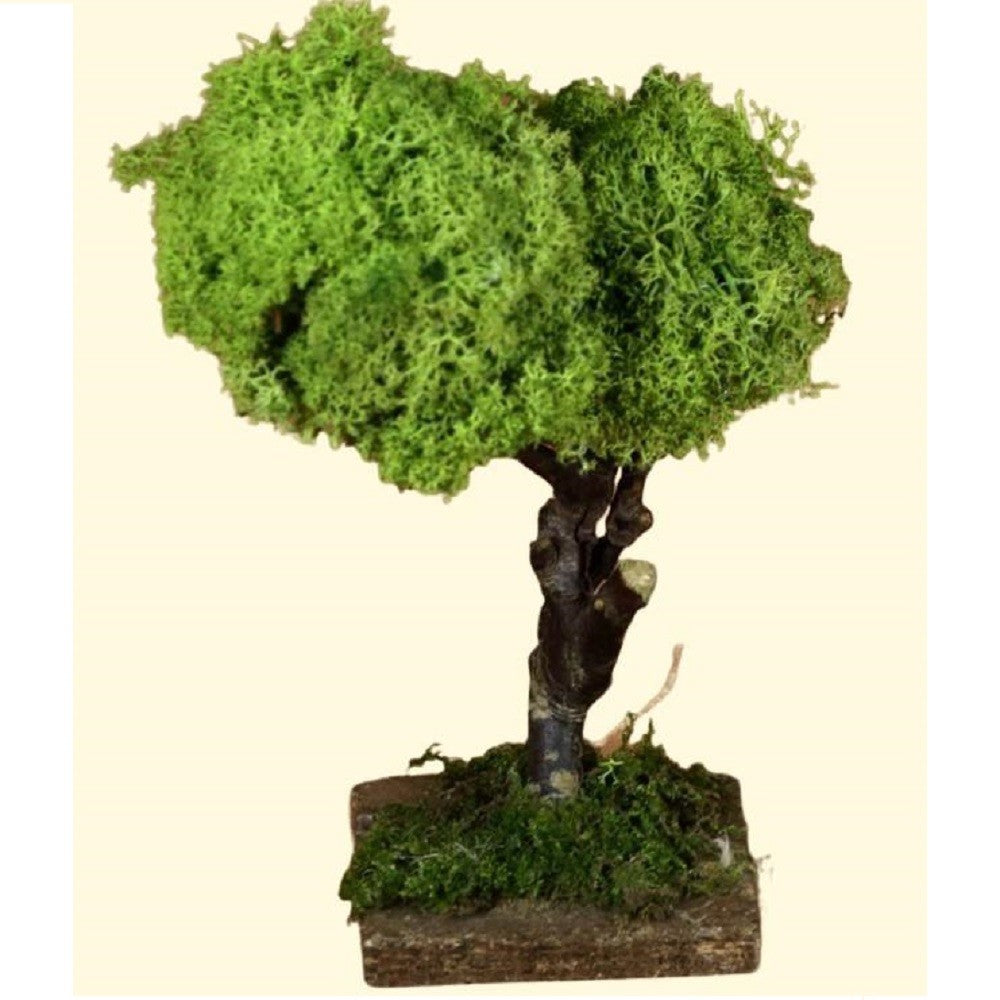 Albero in legno e lichene verde per presepe H 15 cm