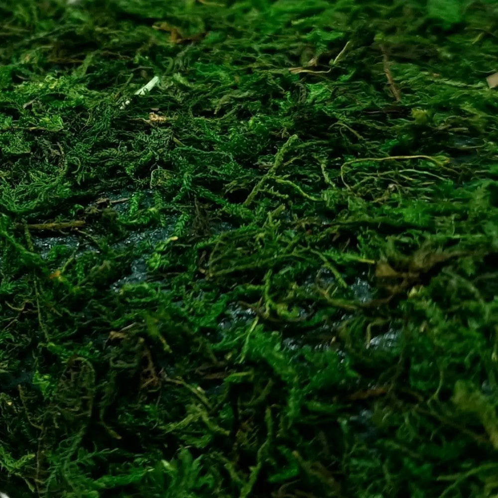 Foglio carta Muschio verde con adesivo 40X90 cm - immagine 2