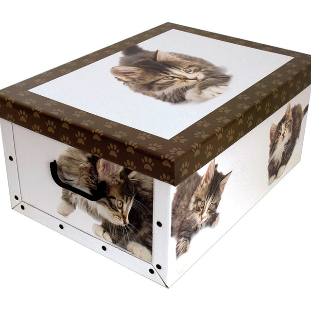 immagine-1-miss-space-scatola-52x40x25cm-decorazione-gatti-assortita-ean-8033695870148