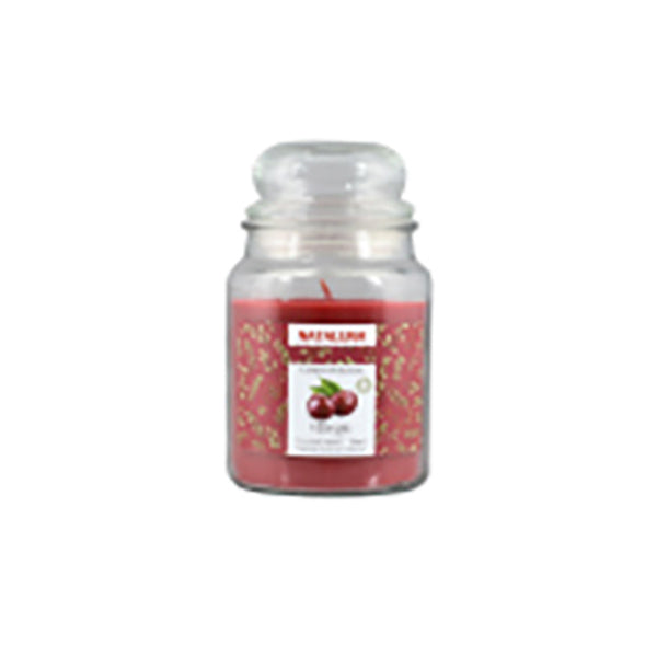 immagine-1-nataluna-candela-profumata-gr-510d-90h-cili-ean-8051094263644
