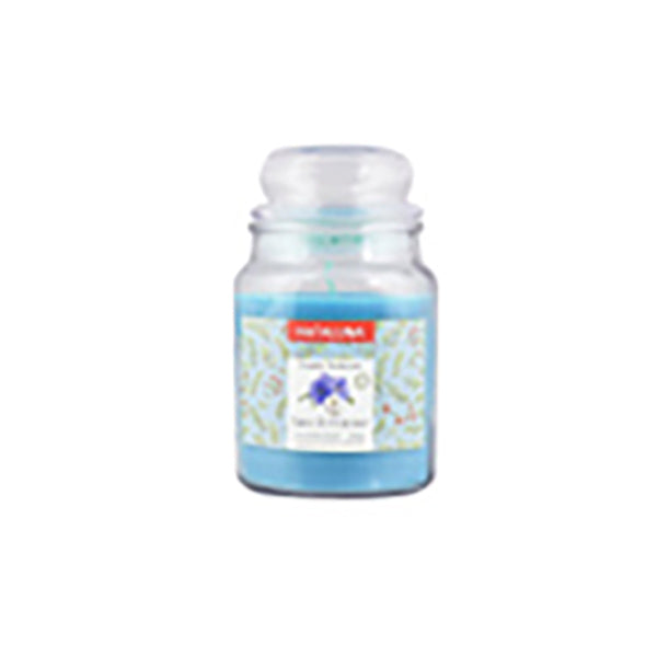 immagine-1-nataluna-candela-profumata-gr-510d-90h-lino-ean-8051094263613