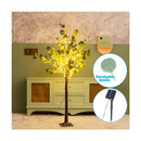 aigostar albero luminoso led solare eucalipto ean 8433325403935