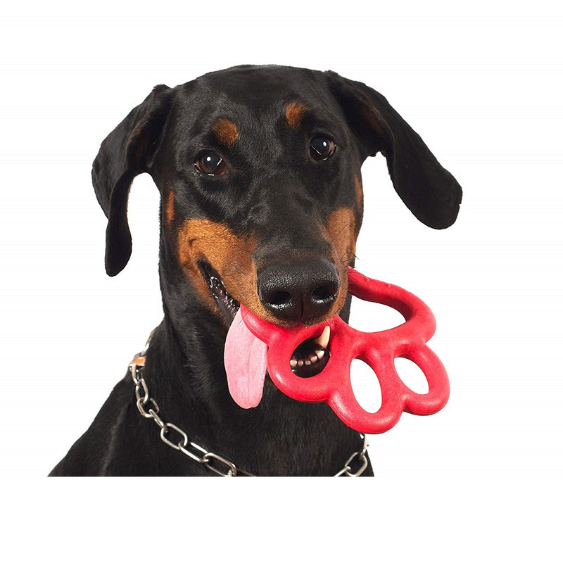 immagine-1-bama-gioco-per-cani-orma-191800-bama-ean-8007633191800