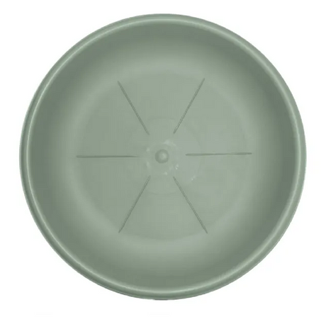 bama sottovaso hedera salvia d 18 cm ean 8007633261121