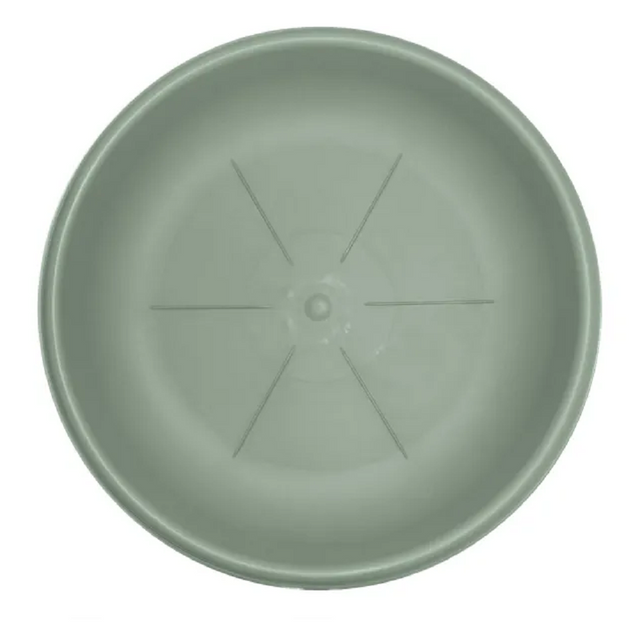 bama sottovaso hedera salvia d 18 cm ean 8007633261121