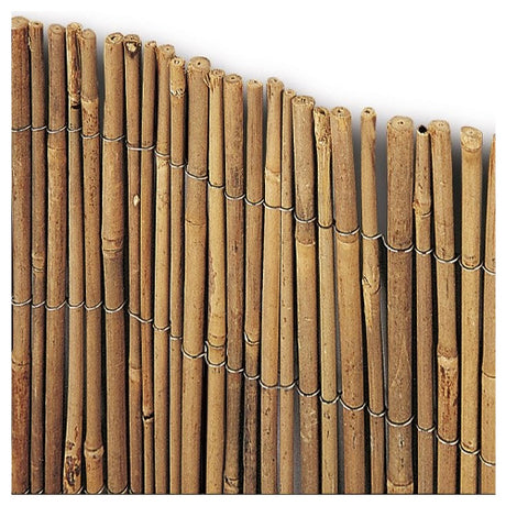 biacchi ettore arella time in bamboo 1x3m ean 8004944006090