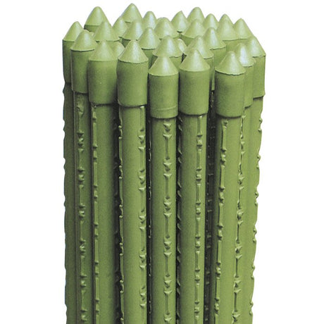 biacchi ettore cannetta 150 met plastificata ean 8004944998203