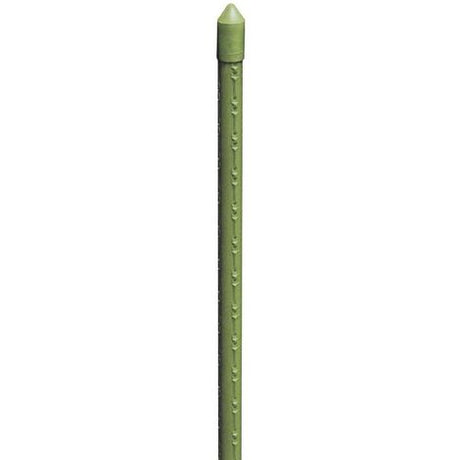 biacchi ettore cannetta 180 metallo plastificata ean 8004944998302