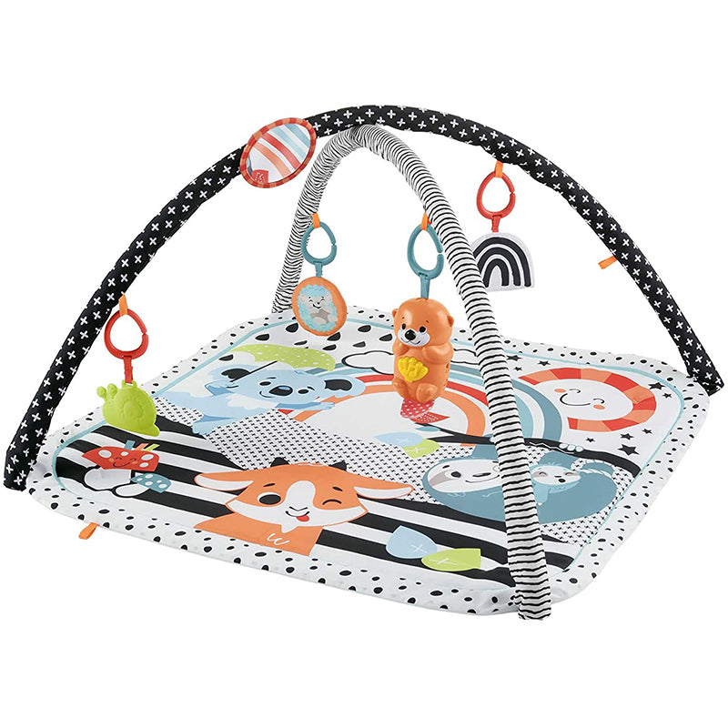 immagine-1-fisher-price-fisher-price-palestrina-luci-e-suoni-amici-hbp41-ean-0194735000319