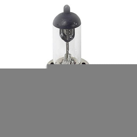 immagine-1-lampa-lampada-h4-12v-6055w-58040-lampa-ean-8000692580400