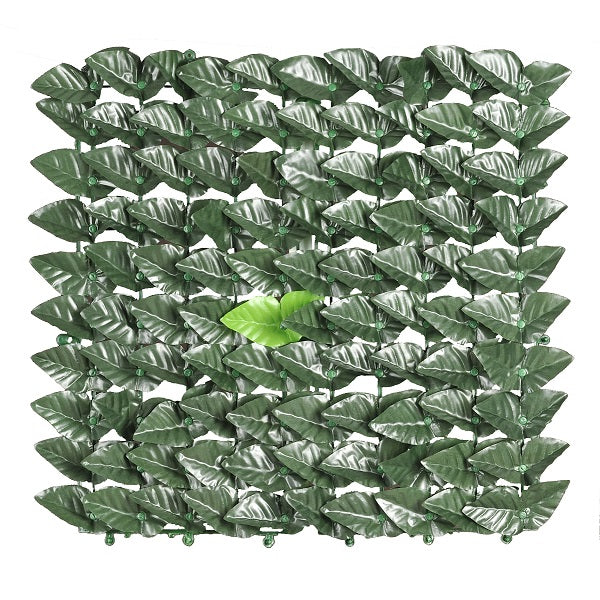 nbr siepe sempreverde lauro 150x300m ean 9972016279026