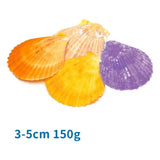 nobleza conchiglie di capesante colorate per acquari nobleza ean 8719138182213