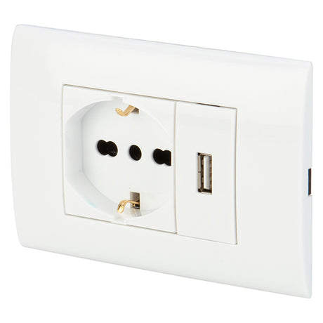 immagine-1-poly-pool-placca-presa-1016a-cusb2-1a-bian-ean-8008225011988