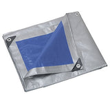 ribimex telo rinforzato occhiellato 5x8mt 250g ribimex ean 3700194406172