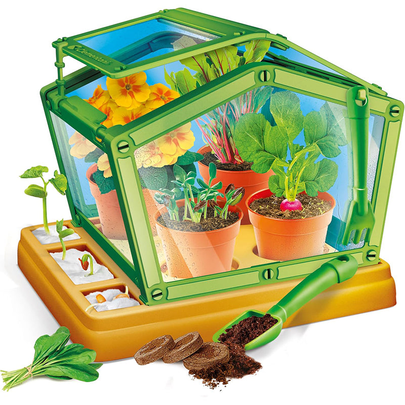 Scienza E Gioco La Scienza In Serra - Main Image