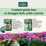 crescita miracolosa concime crescita miracolosa cactus 200 ml ean 8006933047756