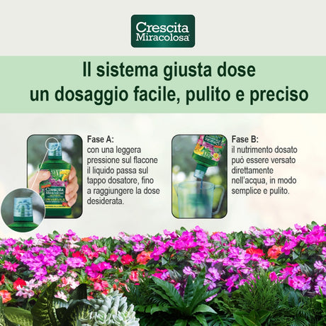 crescita miracolosa concime crescita miracolosa cactus 200 ml ean 8006933047756
