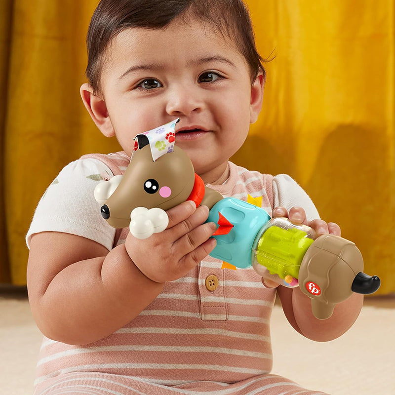 immagine-2-fisher-price-fisher-price-bassotto-gira-e-gioca-htw91-ean-0194735199181