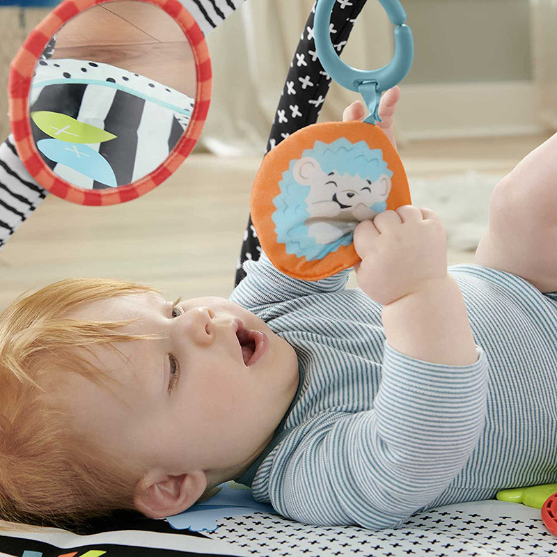 immagine-2-fisher-price-fisher-price-palestrina-luci-e-suoni-amici-hbp41-ean-0194735000319