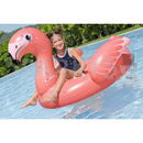 nbr fenicottero gonfiabile cavalcabile per bambini ean 6941607368619