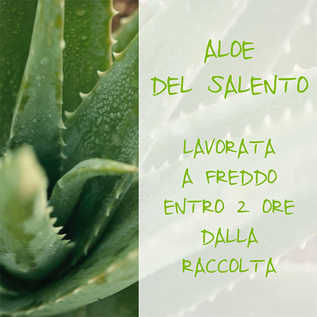 immagine-2-omia-omia-fisio-shampoo-eco-bio-aloe-vera-200ml-ean-8021983812680