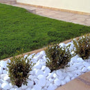 zandobbio ciottoli 20kg bianco carrara 40 60mm ean 8032679609545