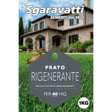 nbr sementi per prato rigenerante 1kg ean 8000627026256