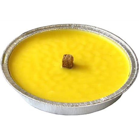 nbr fiaccola romana 17 citronella 210gr ean 8009559002352