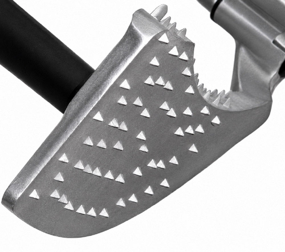 Affettatrice Professionale Dcgas2495 Dcg
