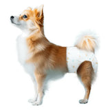 Pannolini per cani femmine 10 pz TG. M - immagine 2