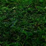 Foglio carta Muschio verde con adesivo 40X90 cm - immagine 2