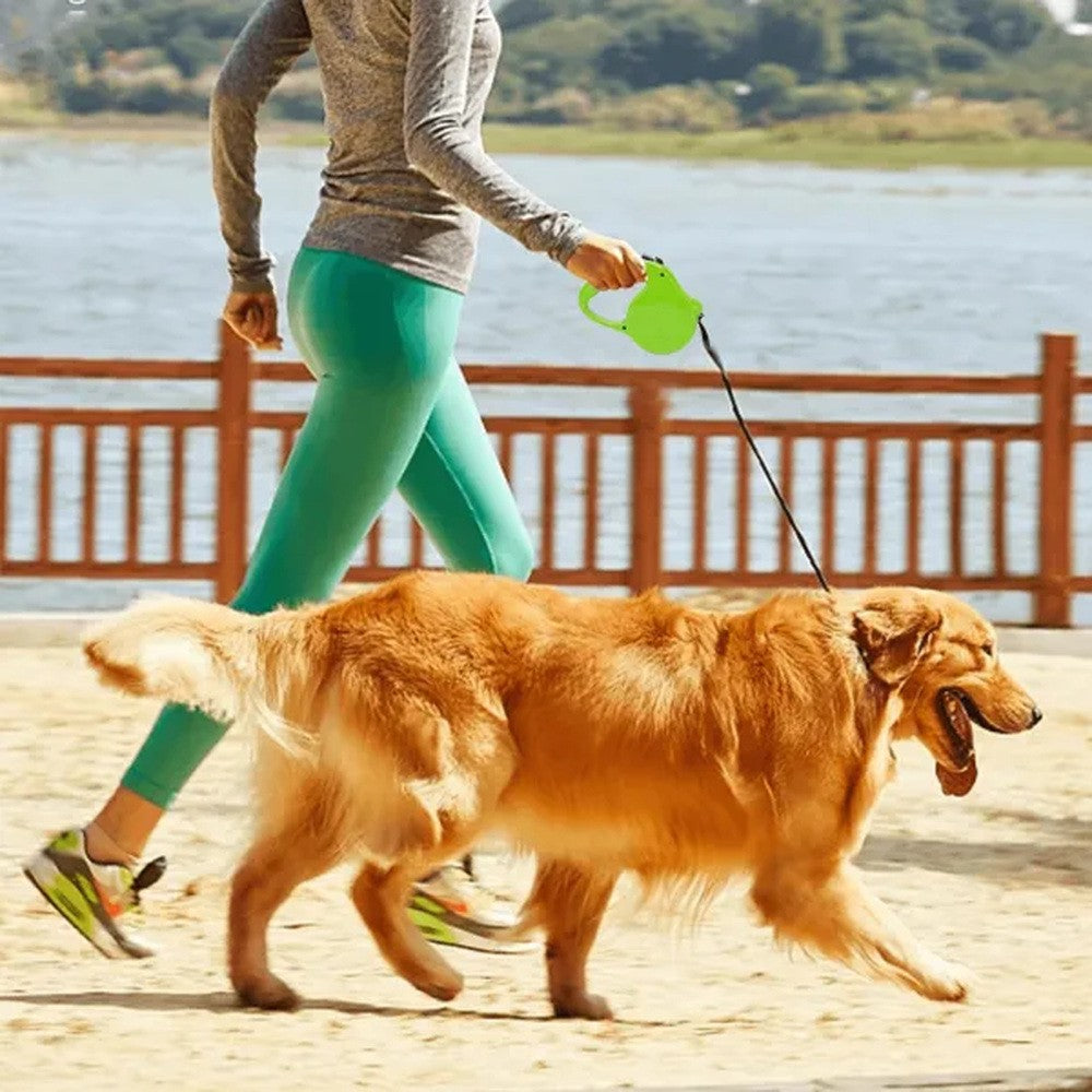 Guinzaglio retrattile per cani colori assortiti 5 mt - immagine 2