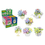 CUBIX PIANTE GRASSE CON VASO ASSORTITE