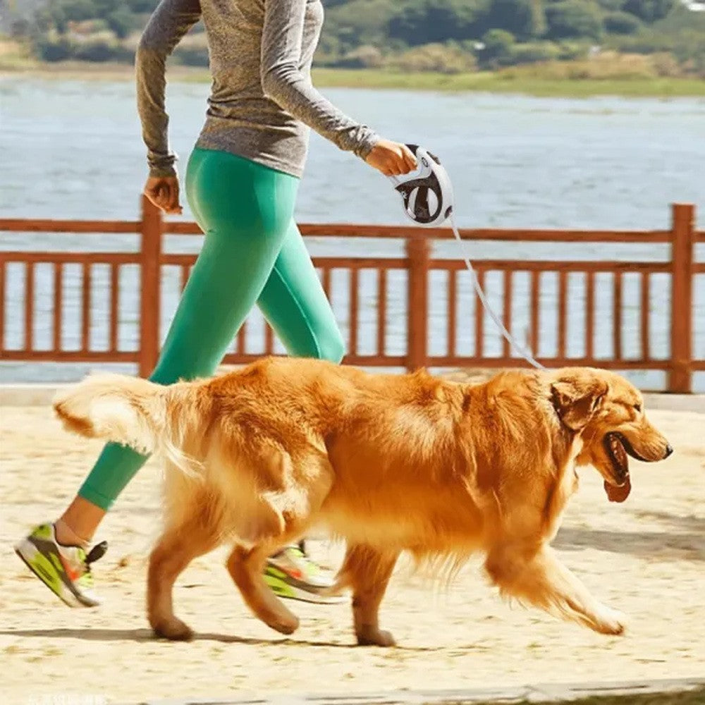 Guinzaglio retrattile per cani fino a 50 kg, 5 mt - immagine 2