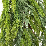 Ghirlanda Pino Stellato Verde 100 cm - immagine 3