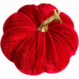 Zucca Natalizia Rossa D.20 cm - immagine 3