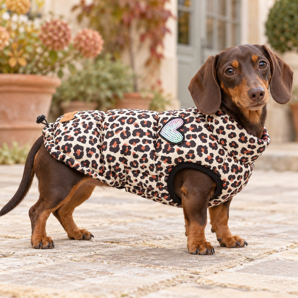 Cappotto Imbottito per Cani Cheetah 35 cm - immagine 2