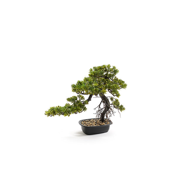 immagine-1-mercury-bonsai-in-vaso-50x25xh.43cm-ean-8034052503655