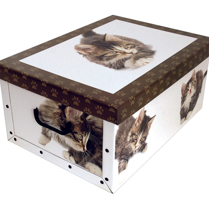 immagine-1-miss-space-scatola-52x40x25cm-decorazione-gatti-assortita-ean-8033695870148