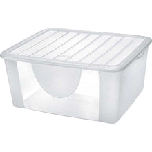 immagine-1-tontarelli-box-contenitore-scatola-dodos-167-lt-coperchio-ean-8009404350553