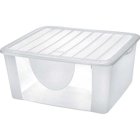 immagine-1-tontarelli-box-contenitore-scatola-dodos-167-lt-coperchio-ean-8009404350553
