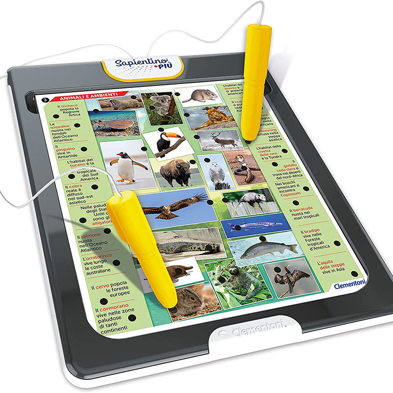 Sapientino Enciclopedia - Main Image